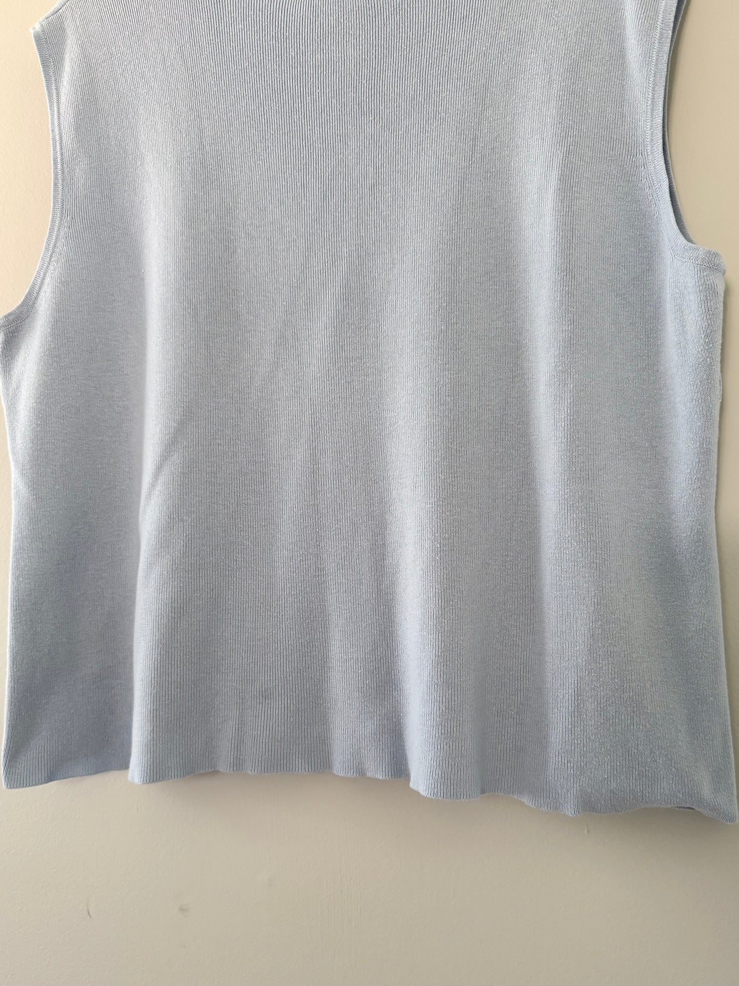 Talbots Baby Blue Tank Top (XL)
