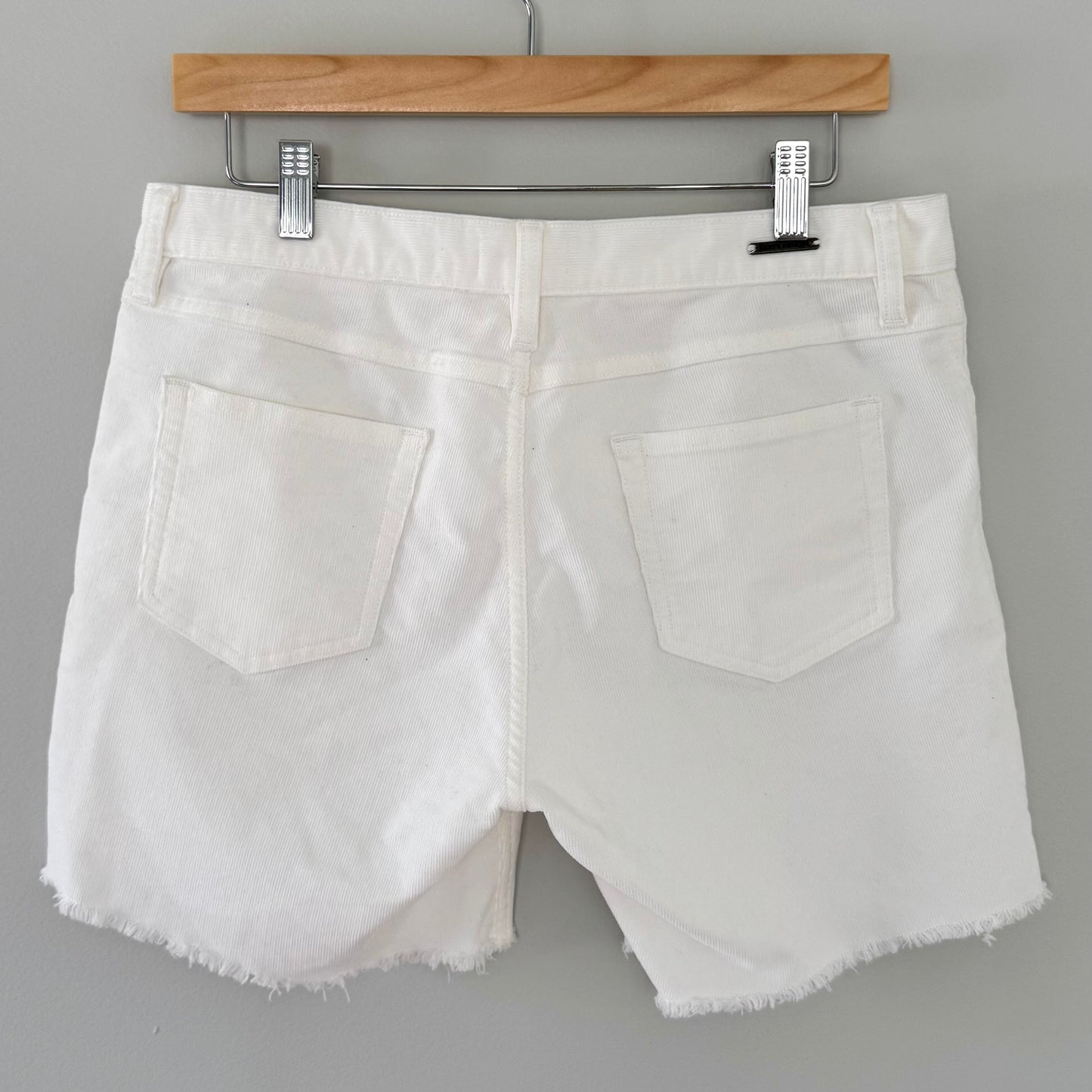 Carve Designs White Maui Shorts (6)